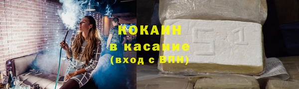 молекула духа Пересвет