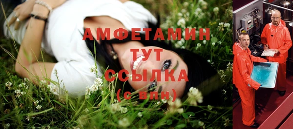 молекула духа Пересвет