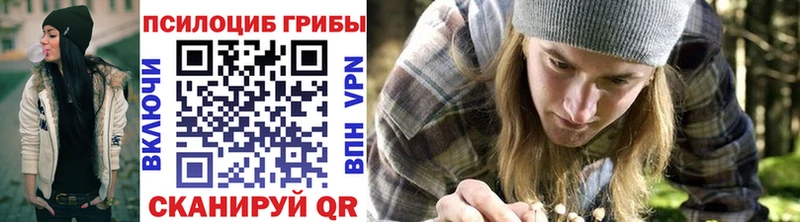 Псилоцибиновые грибы Psilocybine cubensis  Динская 
